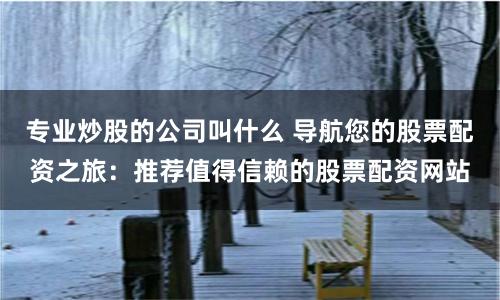 专业炒股的公司叫什么 导航您的股票配资之旅：推荐值得信赖的股票配资网站